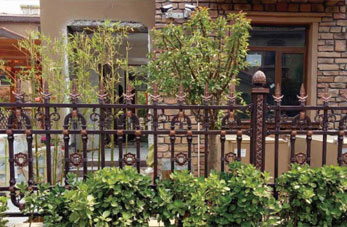 图片名称：II-L015
点击次数：2216次