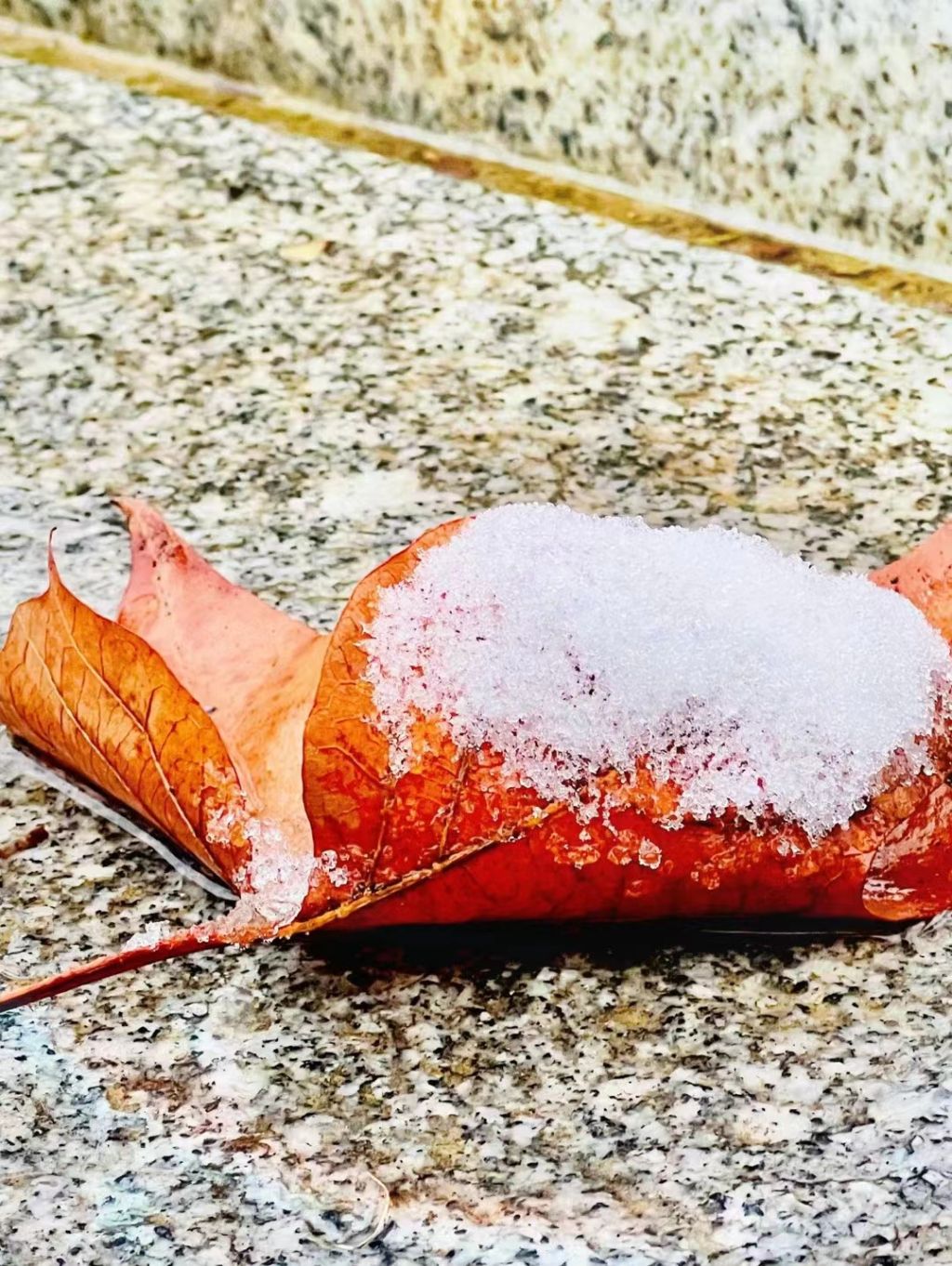 国产AV麻豆MAG剧集